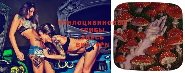 таблы Белоозёрский