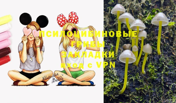 меф Белокуриха