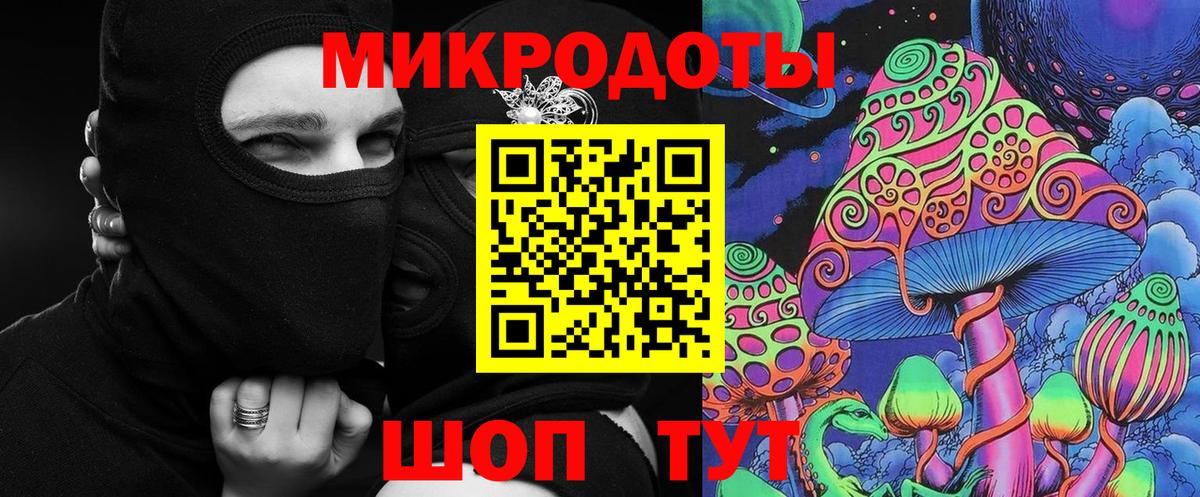 Псилоцибиновые грибы Psilocybine cubensis Малоярославец