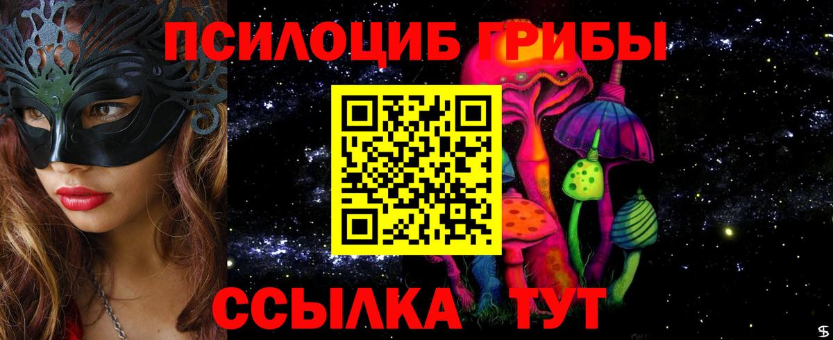 Малоярославец  Галлюциногенные грибы Psilocybe  Вход с VPN 